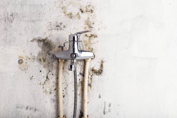 Best Water Damage Restoration  in Iceville, AL