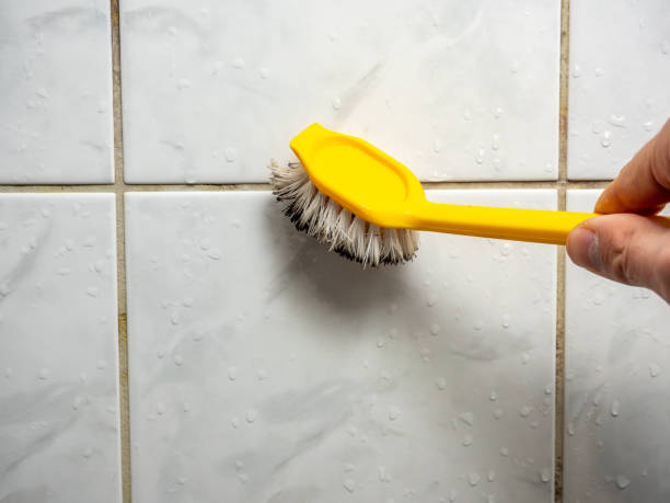 Professional Mold Removal in Aliceville, AL