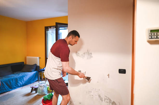 Mold Testing and Removal in Aliceville, AL